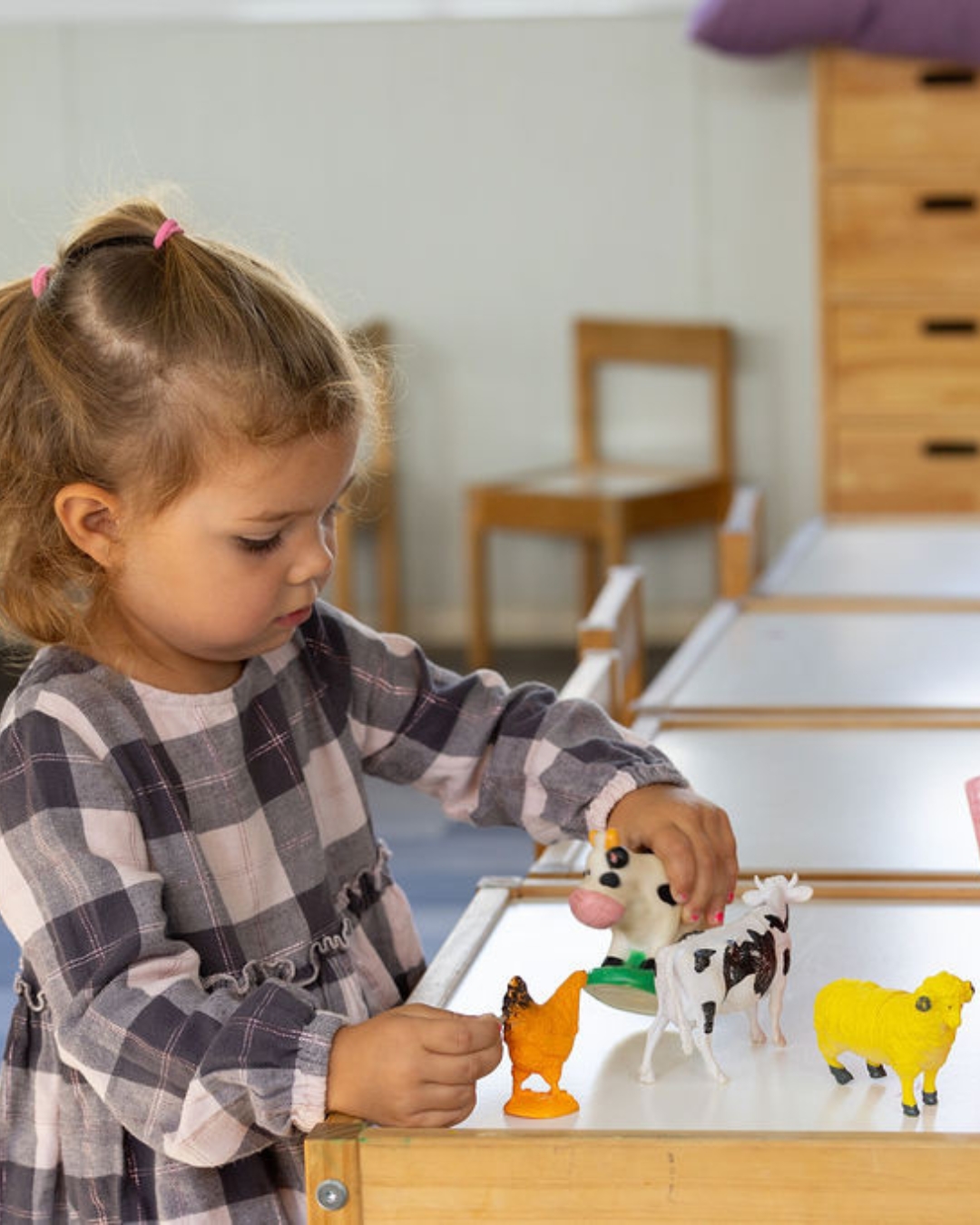 golden-oak-cambridge-international-school-limassol-cyprus (3)